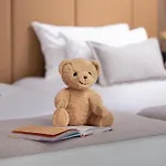 Hotel Nh Centre Amsterdam